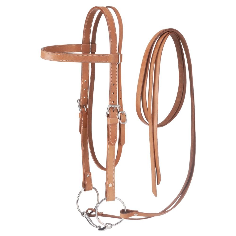 Brider et seller un cheval ou un poney : comment faire