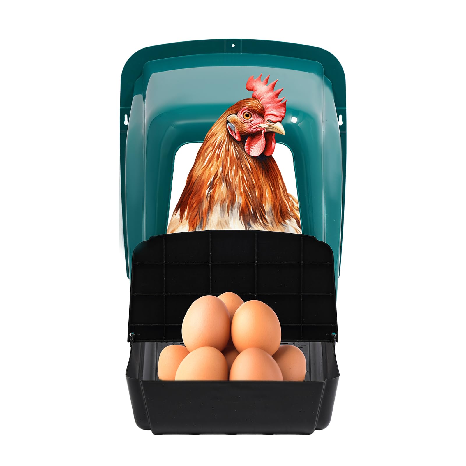 Pajarera nido con cámara para pájaros al aire libre, resistente a la intemperie, para colgar, protección contra pájaros carpinteros, con 4 cajas nido para varias gallinas. Fácil montaje, adecuado para