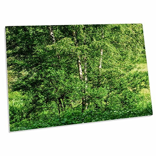 3dRose Young Birch Trees Desk Pad 23" x 16"