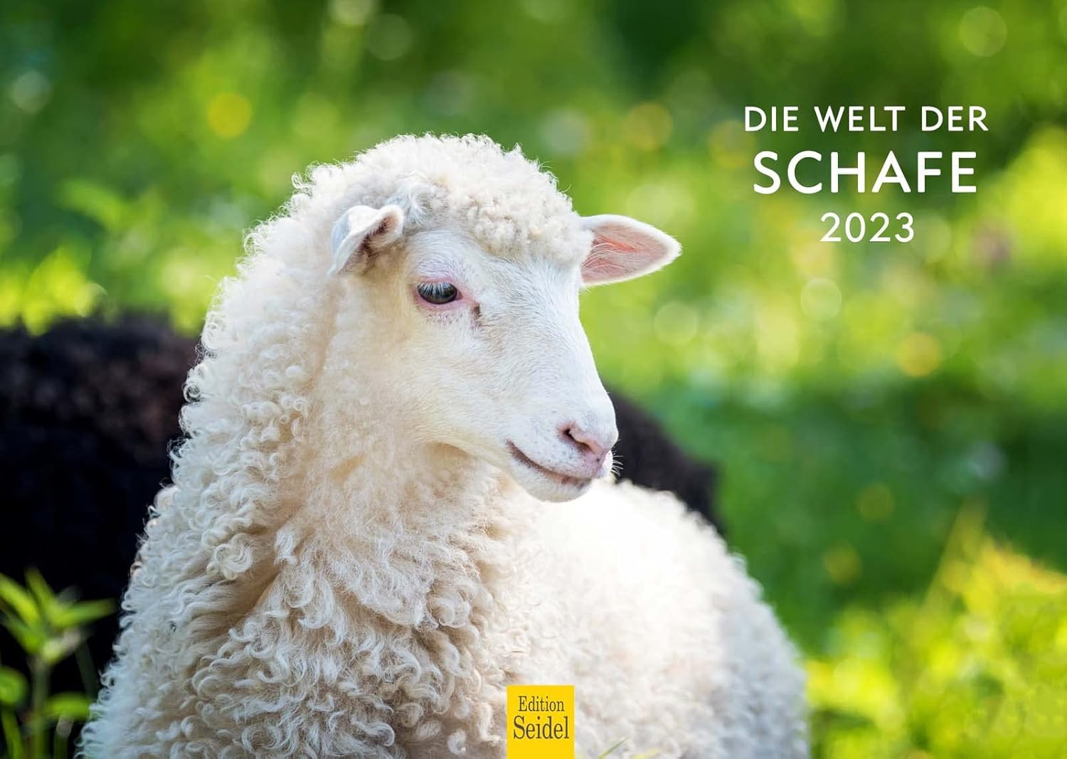 Die Welt der Schafe Premium Kalender 2023 DIN A4 Wandkalender Tiere