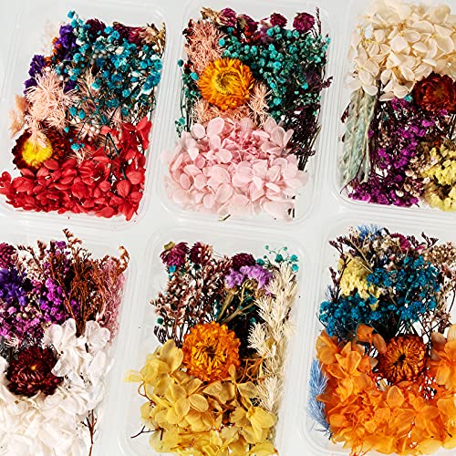 Flores y hojas naturales secas prensadas para manualidades 200 piezas miniatura 7