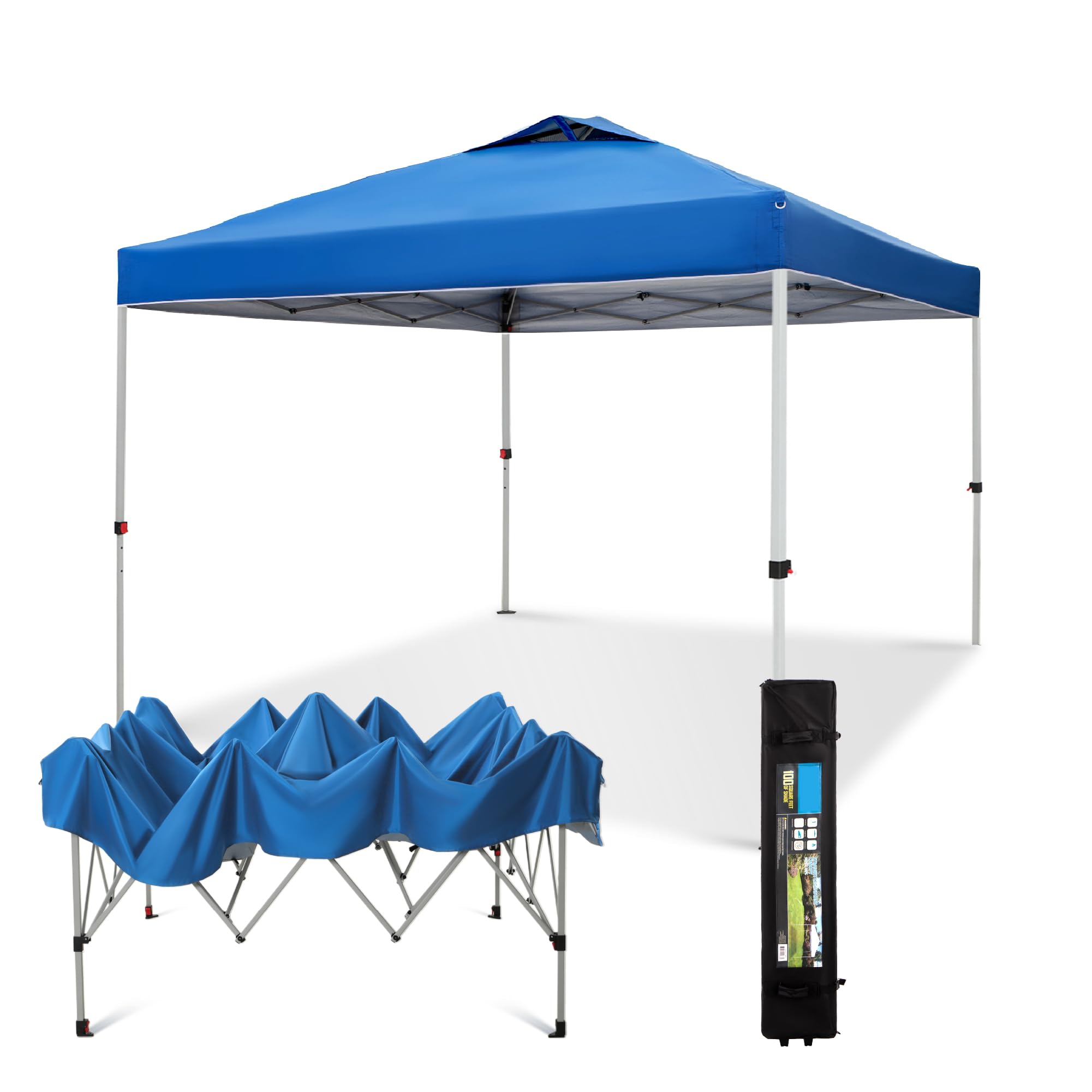 Sophia & William Canopy Tent 10x10