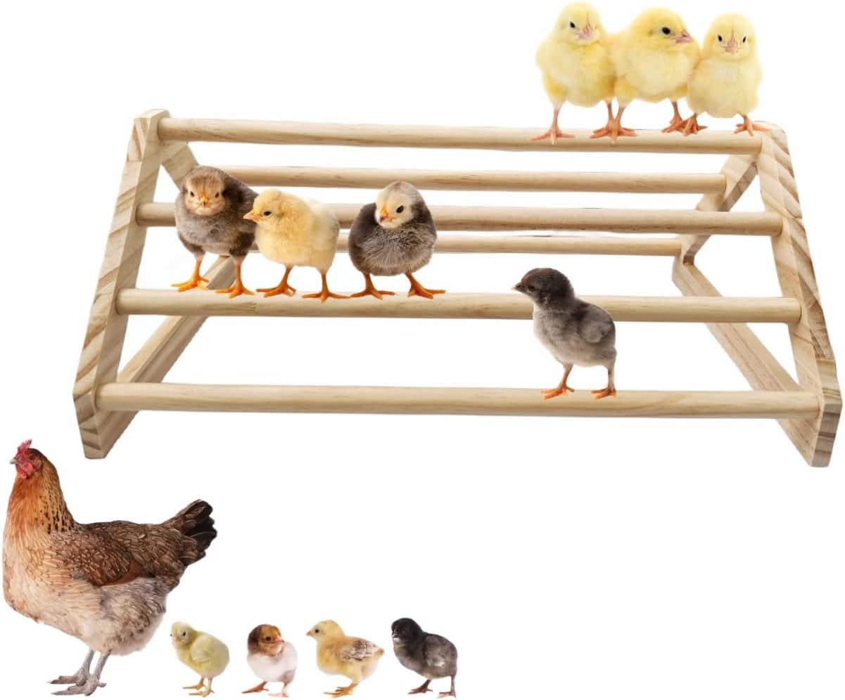 Chick Perch Chicken Coop Toys and Accessories,Chick