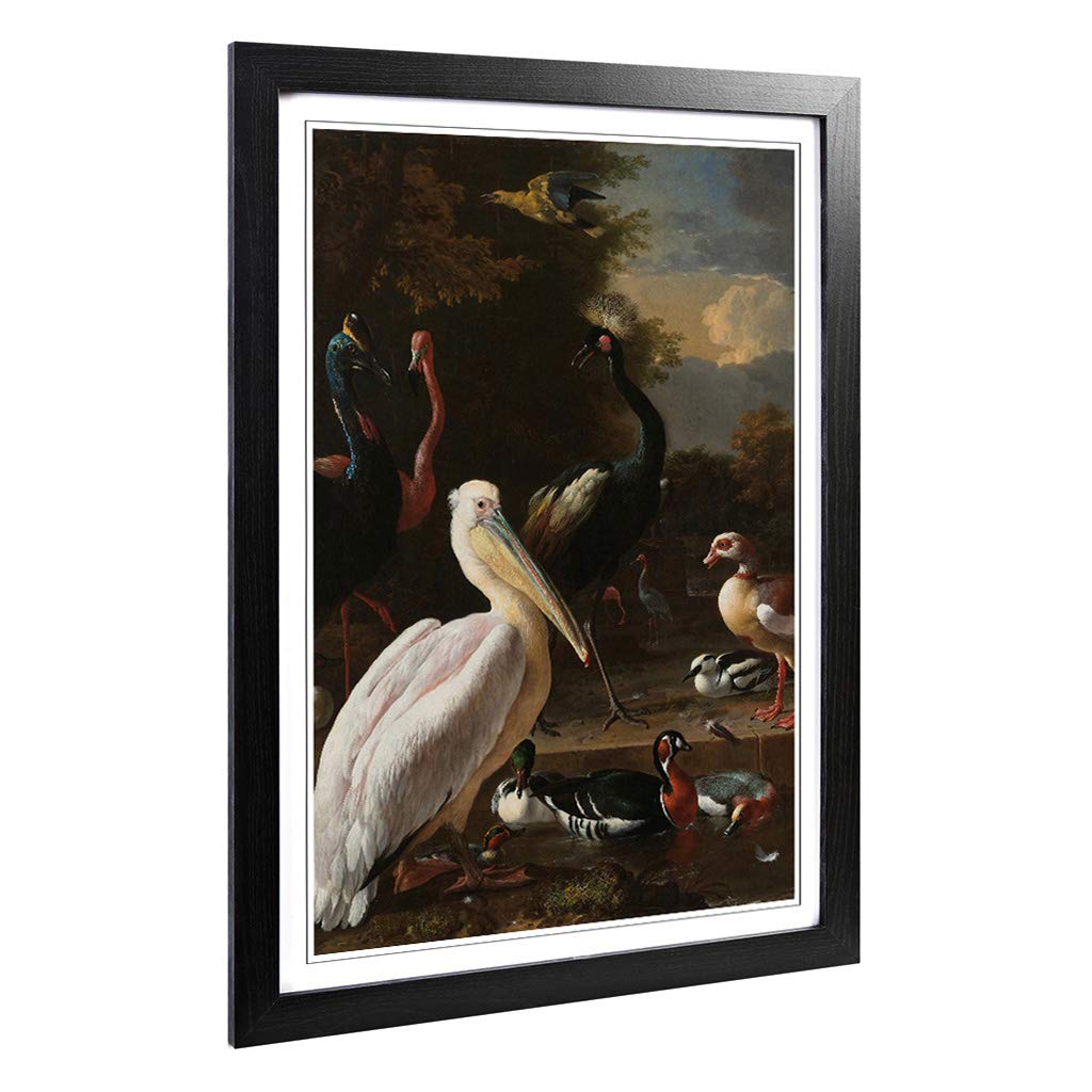 Big Box Art Framed Print of Melchior d'Hondecoeter Birds Design | Wall Art Picture | Home Decor for Kitchen, Living, Dining Room, Bedroom, Hallway, Office, Black, A2 / 24.5x18 Inch / 62x45cm