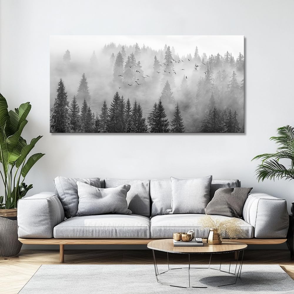 https://m.media-amazon.com/images/I/61nraMvJ20L.jpg