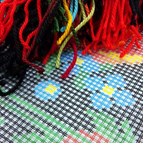 Brvsk Meadow Of Poppies. Needlepoint Kit. Throw Pillow 16×16 Inches. Printed Tapestry Canvas, European Quality #TOP2