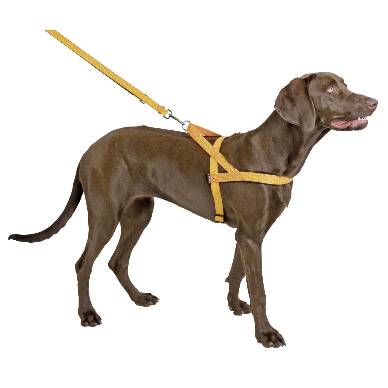 Kerbl Reflective Norwegian Harness, 20 mm x 60 - 75 cm