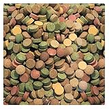 AQUALITY PREMIUM Futtertabletten-MIX - 4