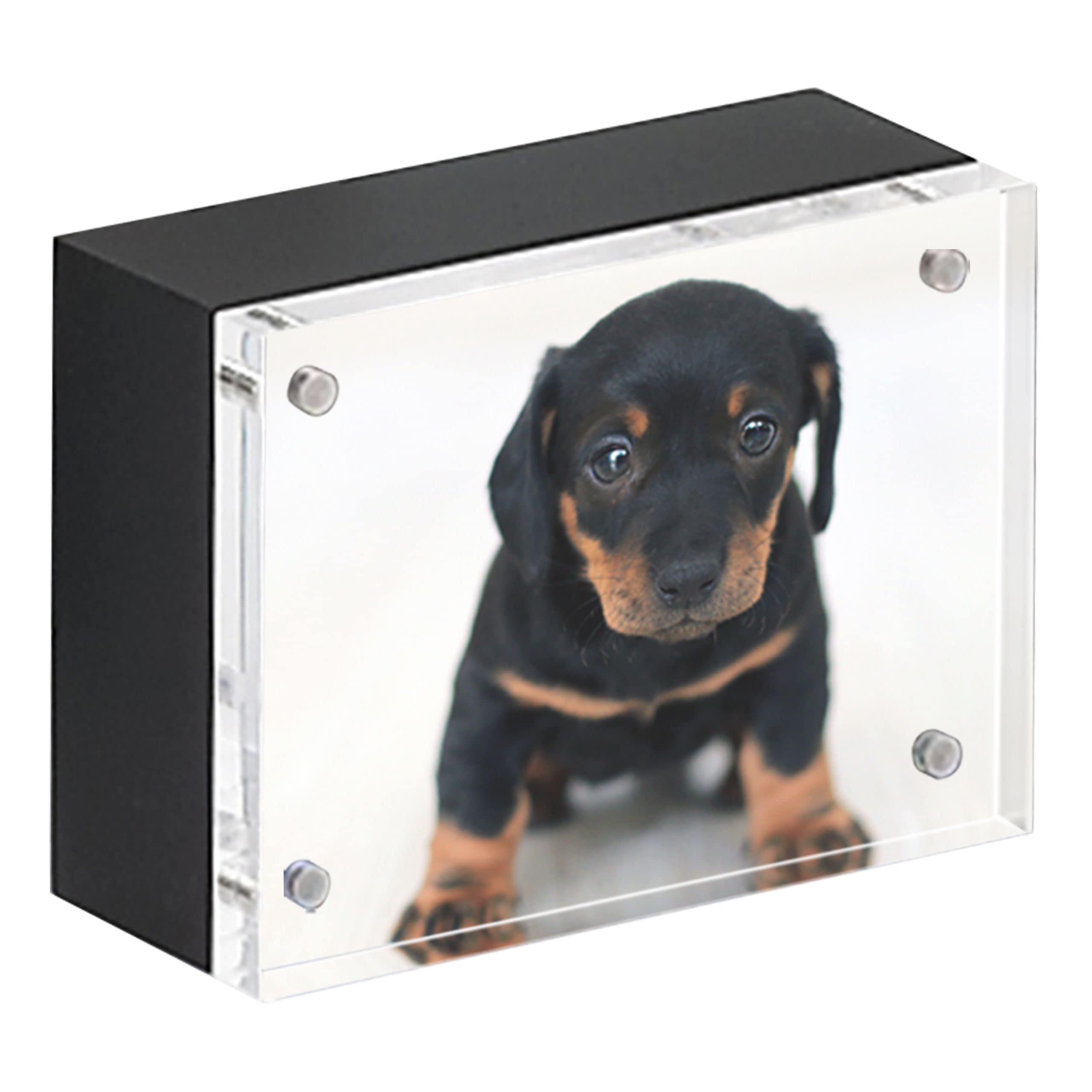 Thick Magnet FrameBlack Wood Back Panel2.5 x 3.5 inches