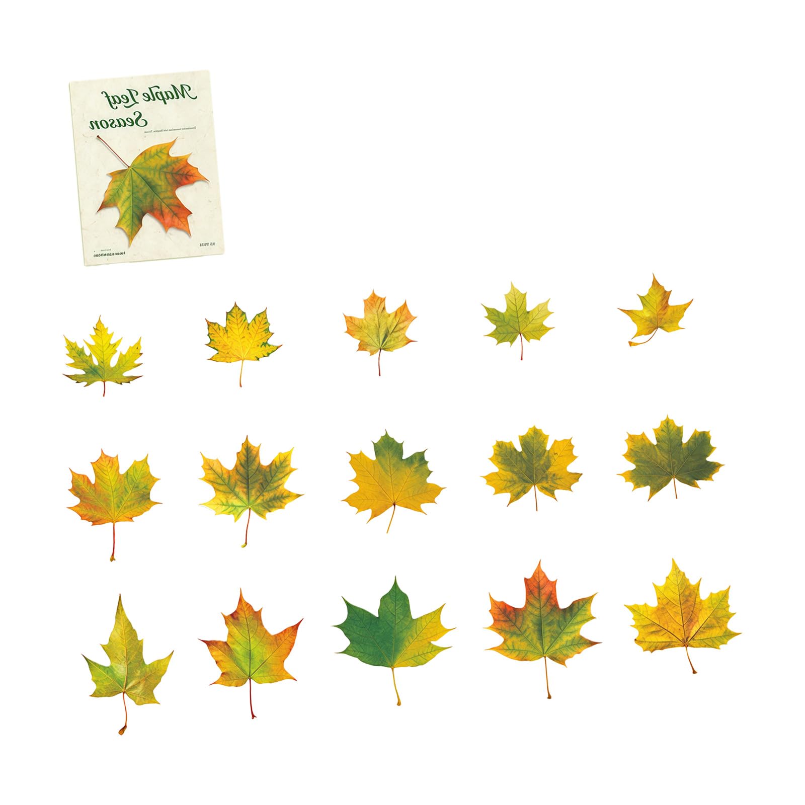ordinarYone Leaves Decorative Sticker Waterproof PET Adhesive Sticker Label for Notebook Journal Album Scrapbooking Decoration