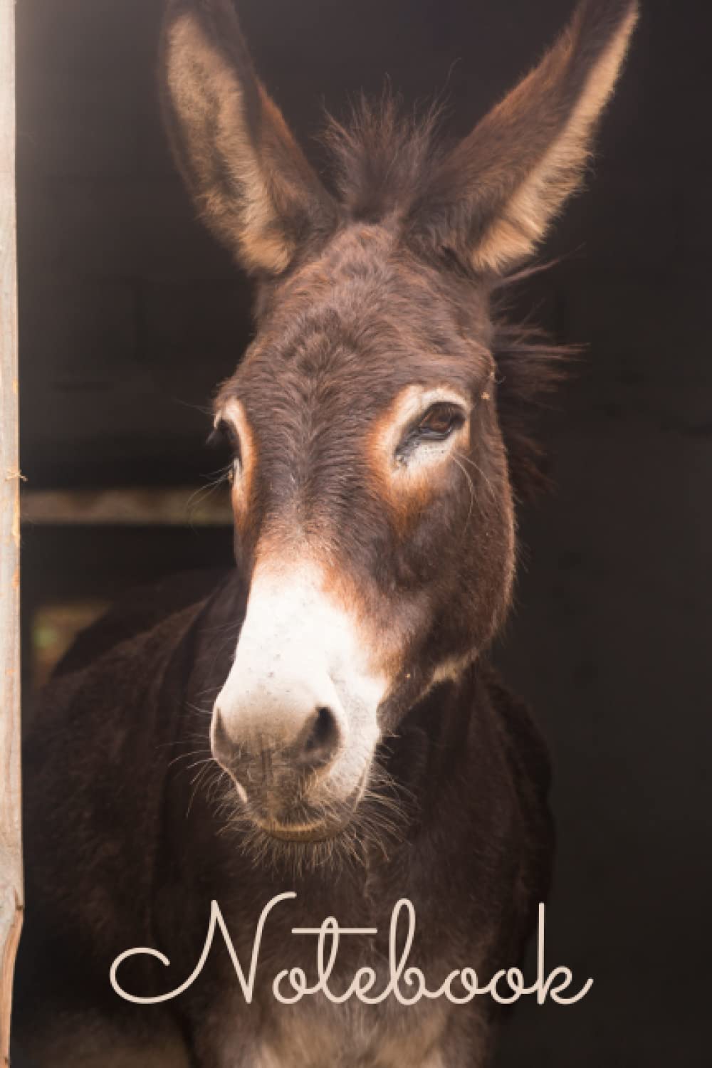 Donkey Notebook: A great gift for Donkey lovers and for anyone who adores animals