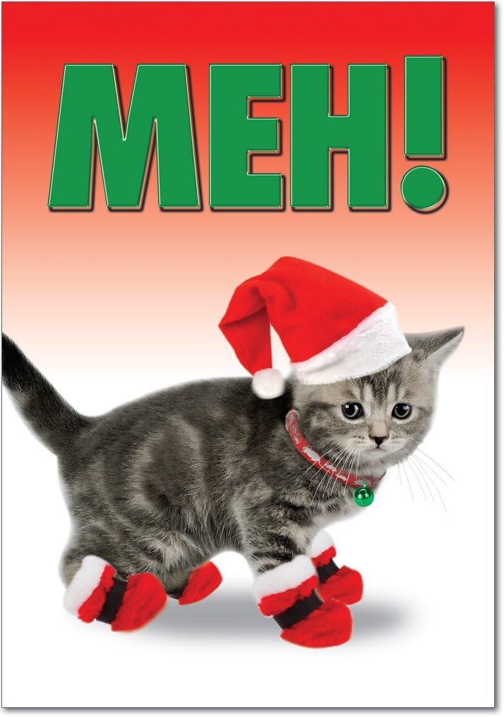 12 'Meh' Boxed Christmas Cards with Envelopes 4.63 x 6.75 inch, Cute Kitty Cat Christmas Cards, Adorable Festive Kitten with Santa Hat Holiday Notes, Hilarious Christmas Stationery B5948