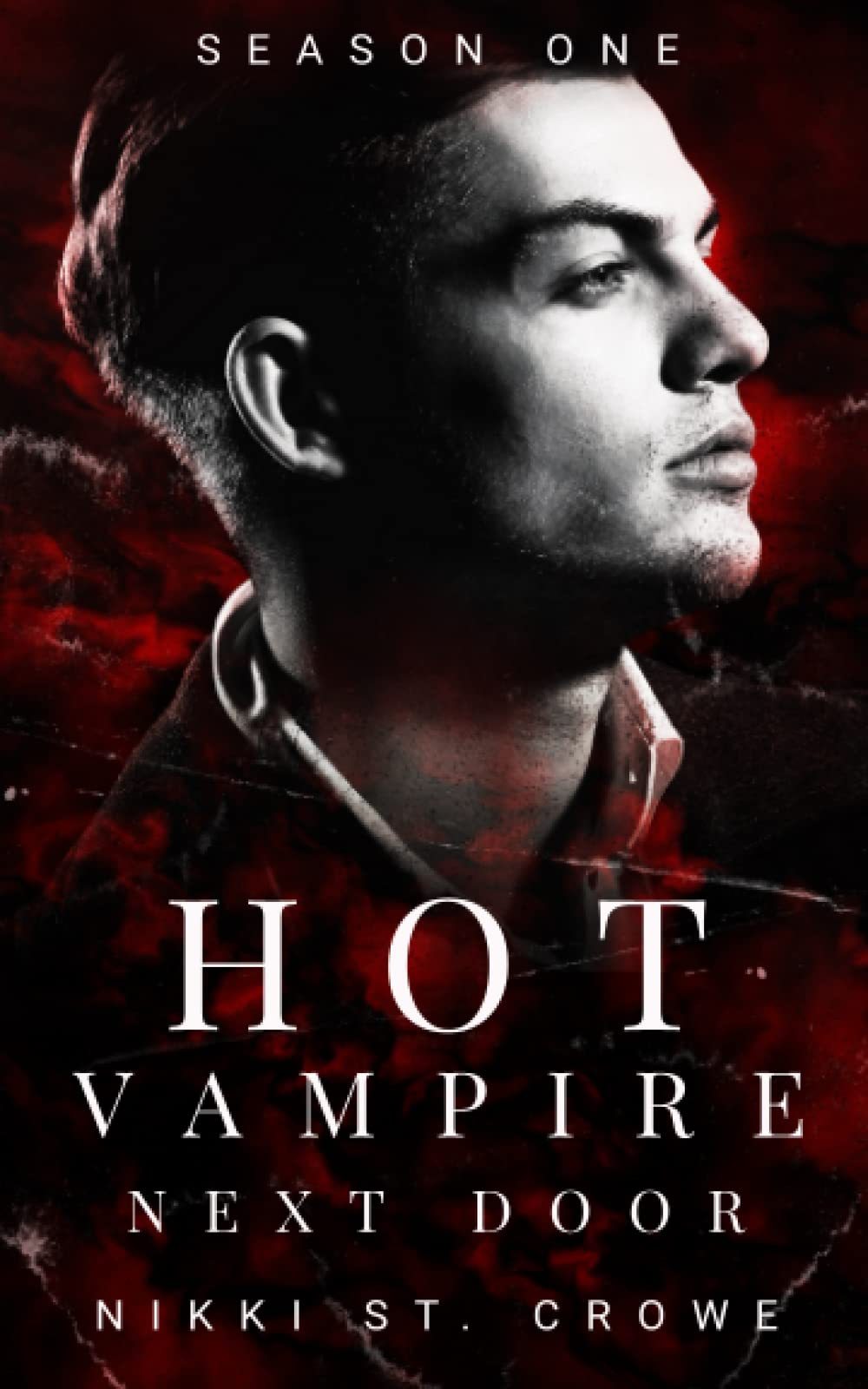 Hot Vampire Next Door: Season One (Midnight Harbor)