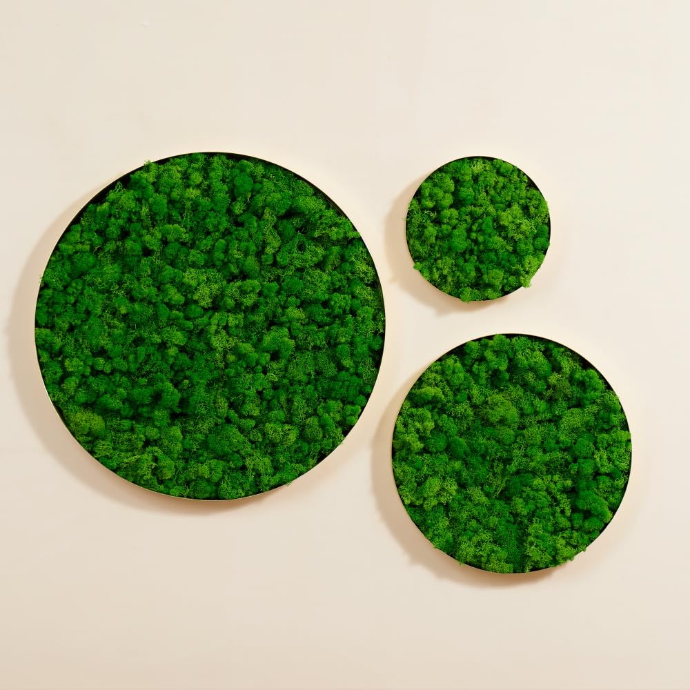 GOWE Round Framed Moss Wall Decor 3pcs