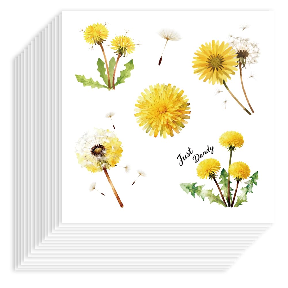 Hobbspring 20 Sheets Dandelion Self-Adhesive Paper Stickers Decorative Gift Wrapping Sticker Cute Scrapbook Embellishments for Handmade Cards Notebooks Craft Projects Supplies 90x90mm(3.54x3.54in)