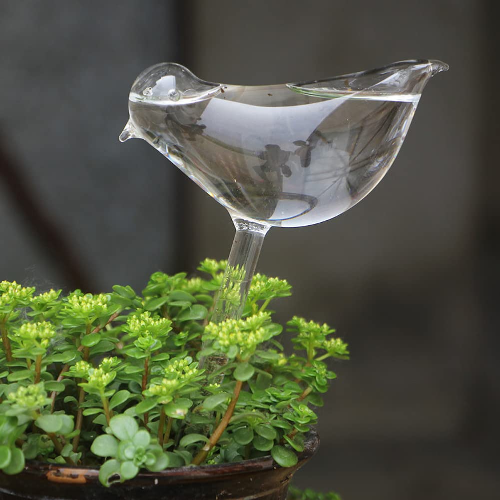 Amazon.co.jp: 自動給水器 自動水やり器 植物 給水やり当番 給水