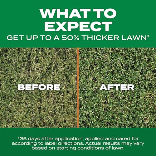 Scotts Turf Builder Thick'R Lawn Bermudagrass, 10 lbs. - image 7