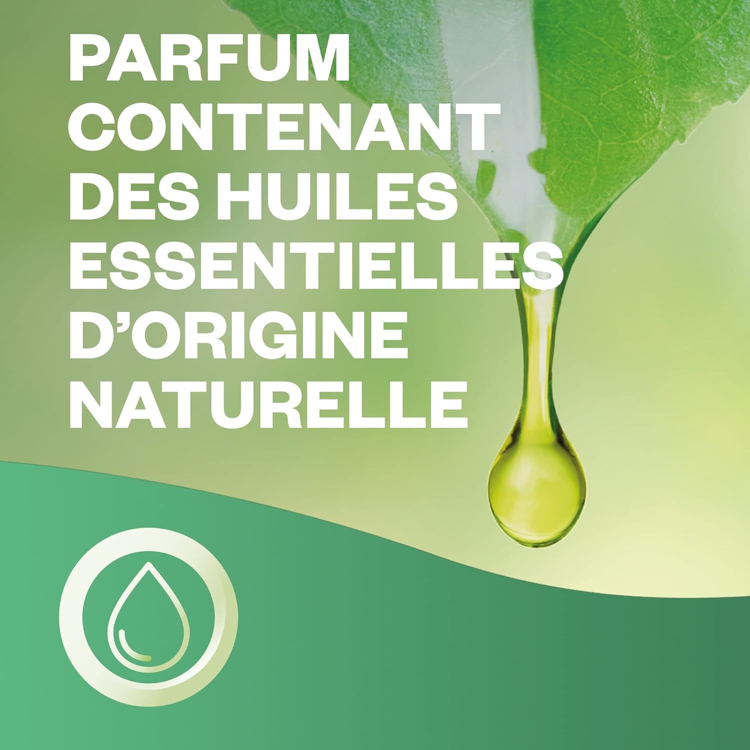 Air Wick Lot de 6 Recharges Diffuseur désodorisant d’Huiles Essentielles Brume Parfumée Lavande et Jacinthes des Bois