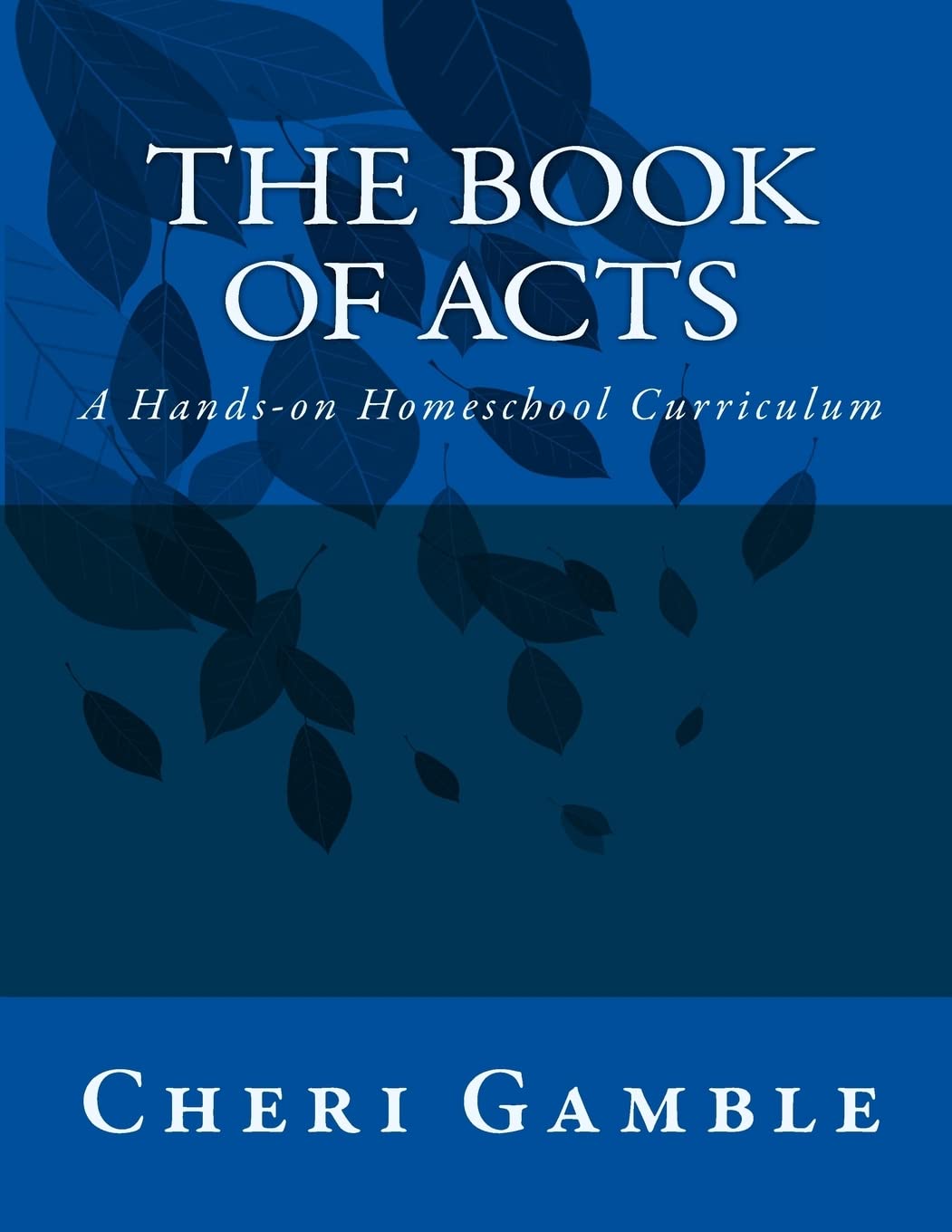 The Book of Acts: A Hands-on Homeschool Curriculum
