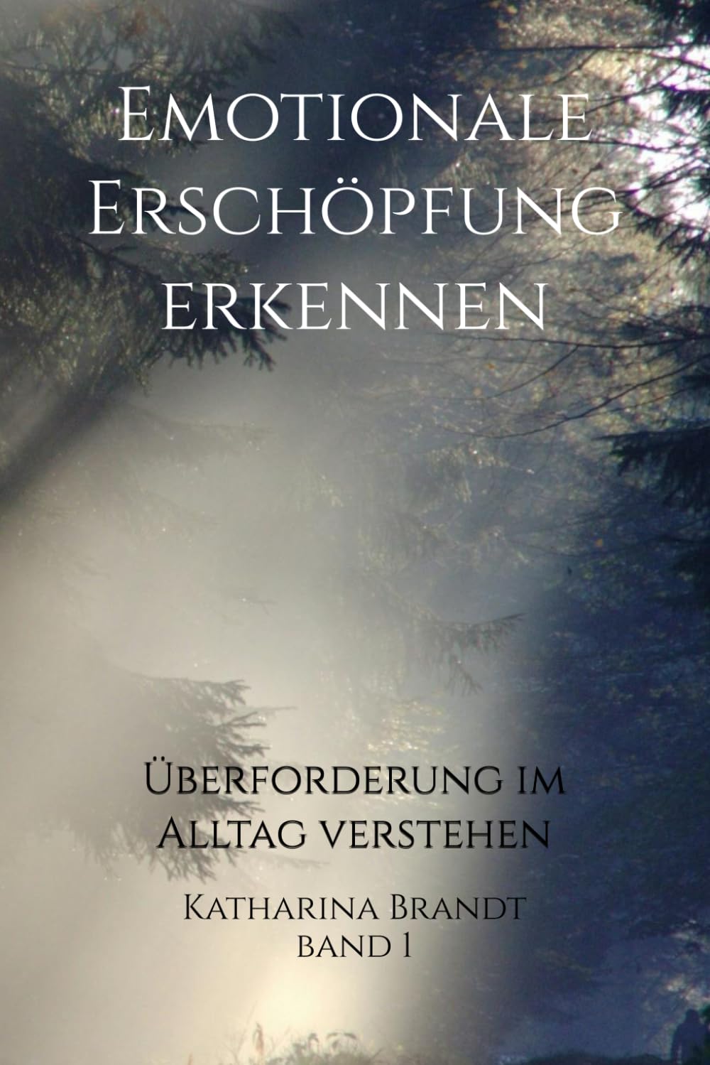 Emotionale Erschöpfung erkennen Überforderung im Alltag verstehen