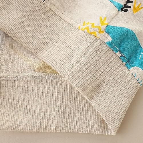 Image of GFQLONG 2 Pack Toddler Boys Long Sleeve Pullover Crewneck Tops Shirts, Cotton Warm Dinosaur Cartoon Sweatshirts,Blue+Gray,3-4T