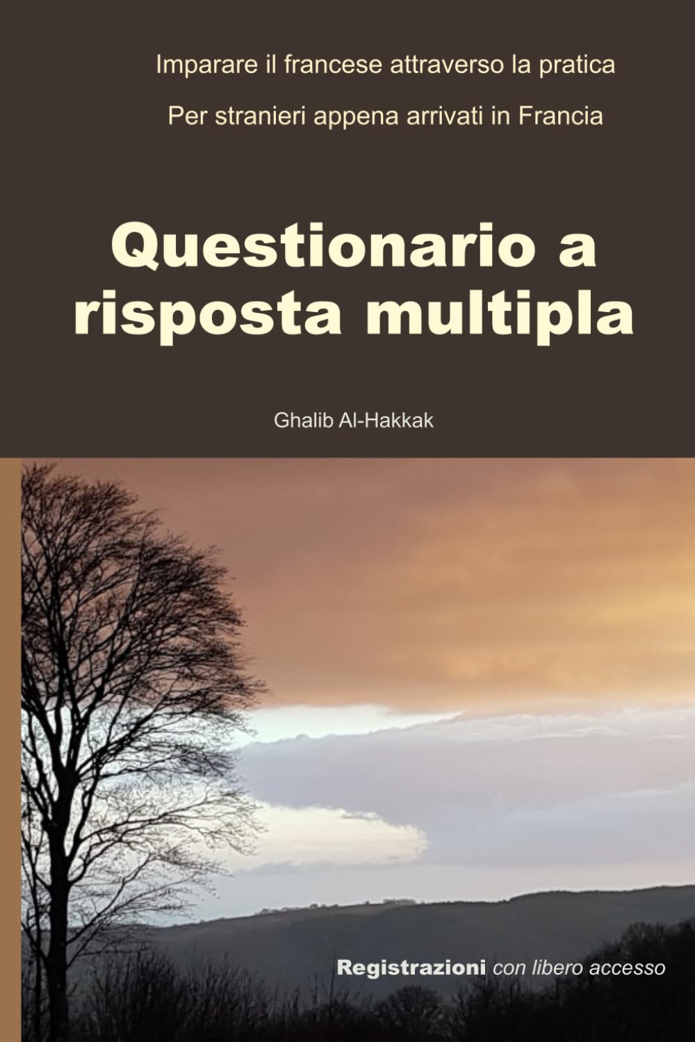 Questionario a risposta multipla - Francese: Imparare il francese attraverso la pratica
