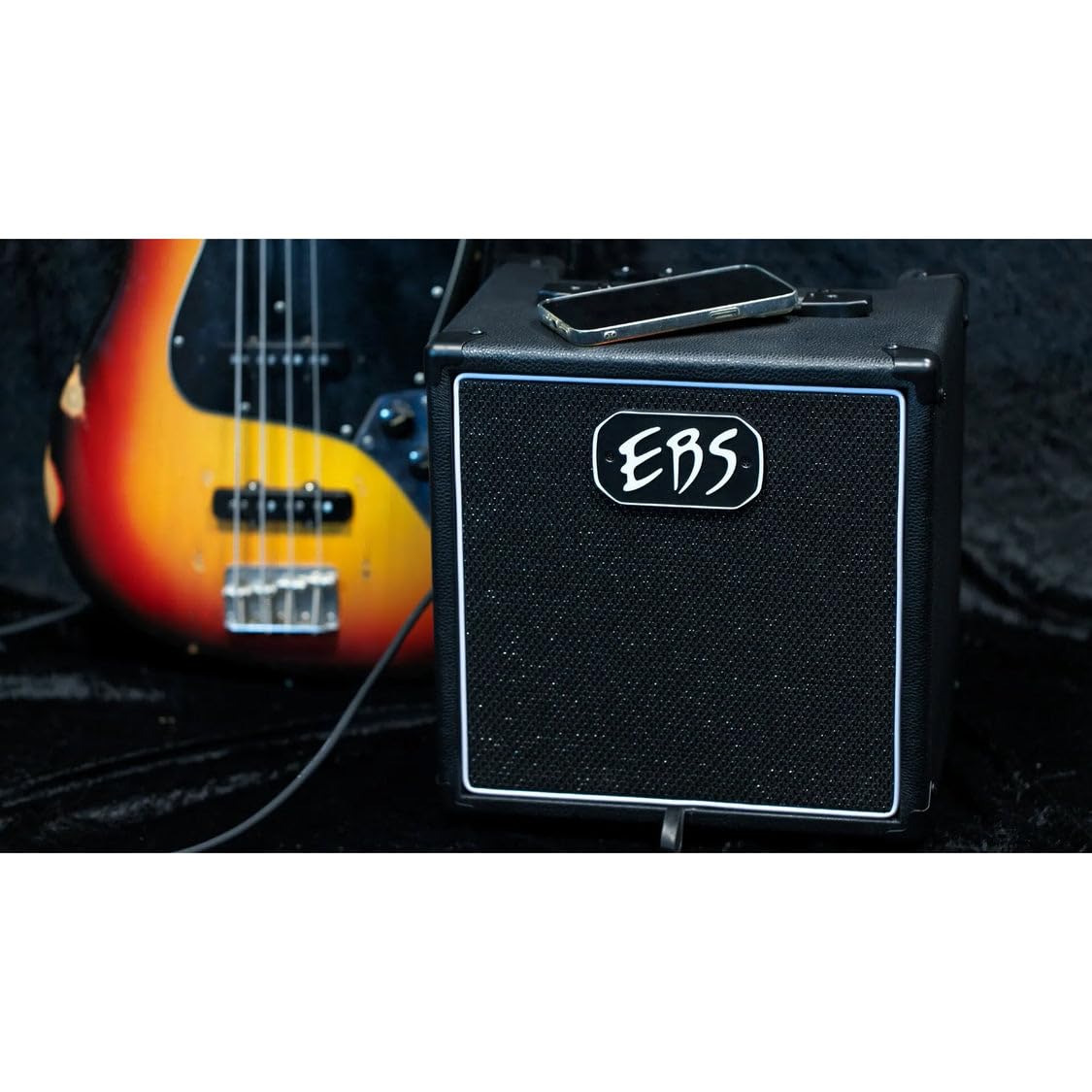 Amazon.com: EBS Session 30 Mk3 Compact 30W Bass Combo Amplifier