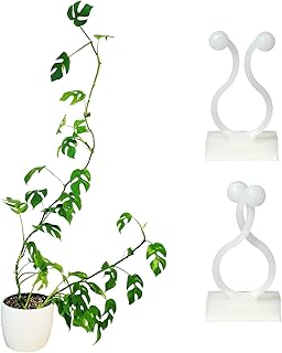 Tmofs 100 Pcs Plant Wall Clips,Plant Climbing Wall Fixture Clips,Plant Clips for Climbing Plants,Wall Vines Fixing Clips Plant Vine Traction for Vine Support and Indoor Outdoor Decoration(White)