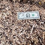 Review Image by Just a random guy