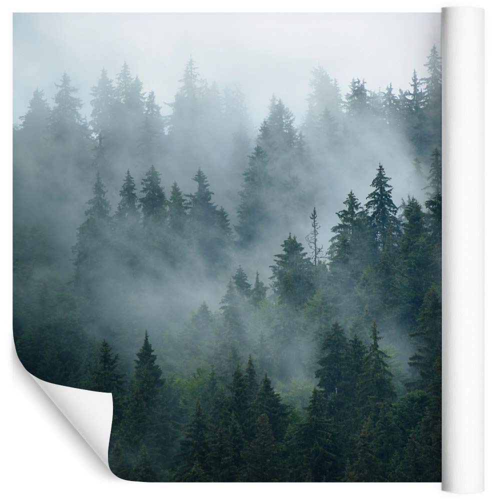 Muralo Samoprzylepna fototapeta z efektem 3D, fototapeta na ścianę, iluzja optyczna, naturalny las, salon, sypialnia, nowoczesne obrazy ścienne, dekoracja ścienna XXL, wymiary 360 cm x wysokość 240 cm