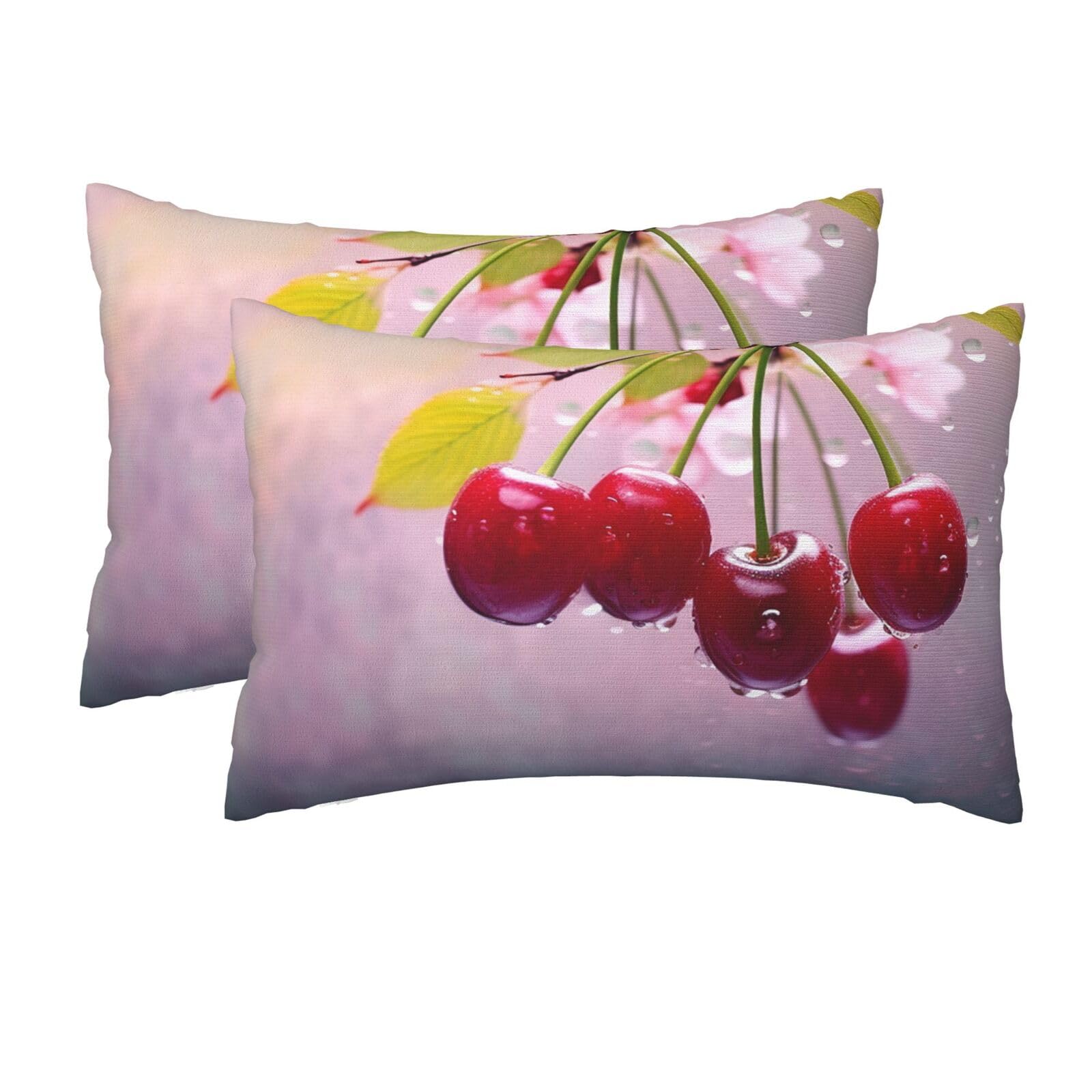 2 Pack Queen Size Pillow Cases for Hair and Skin Soft Breathable Pillow Case Covers with Hidden Zipper Cherry Pillowcase 20x30 Inches Pillow Cover for Sleeping Gift