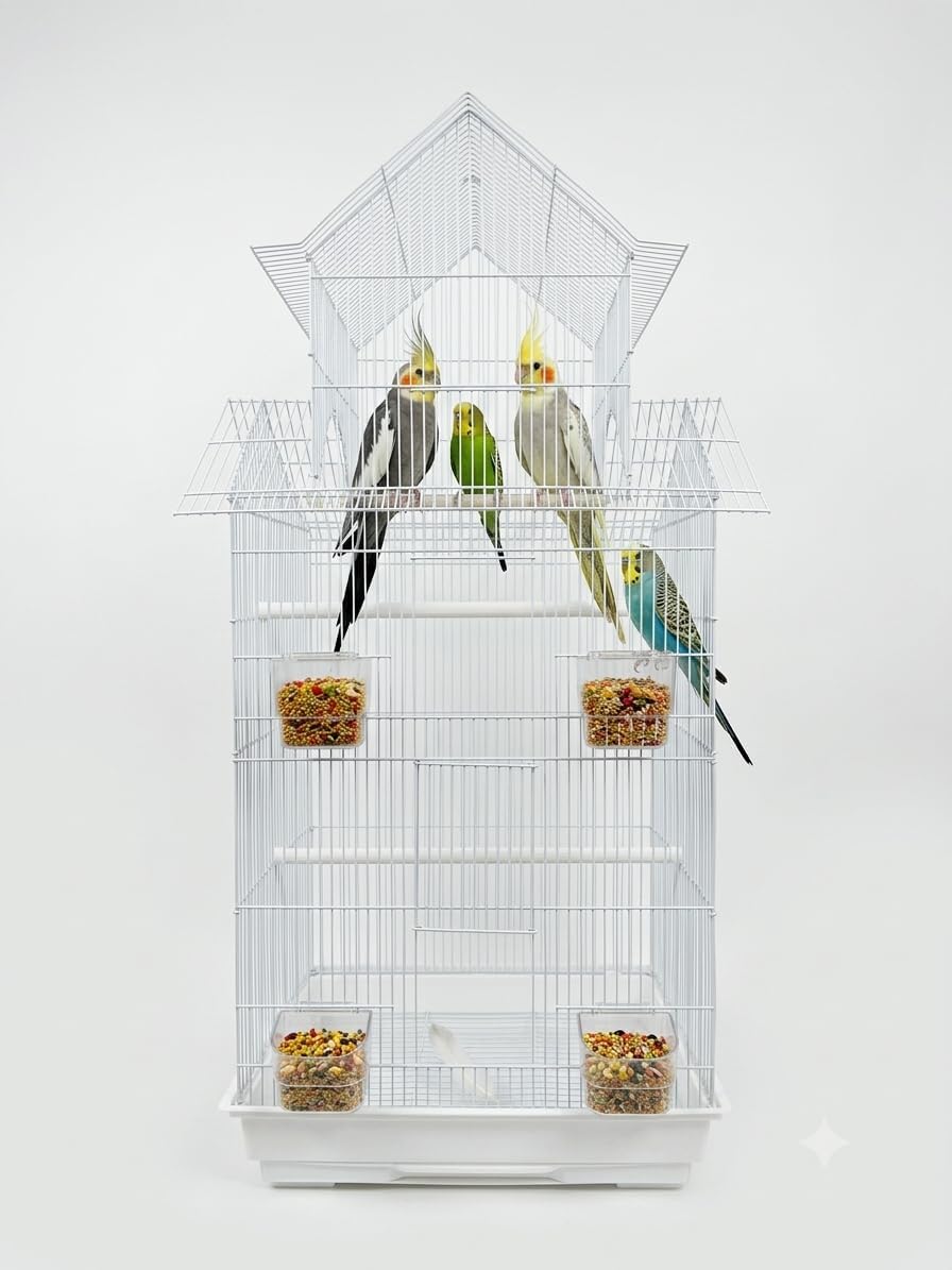 CENTRAL FISH AQUARIUM Bird metal cage for Budgies,Finches,Love Birds,Cuttlefish BoneHolder,Cuttlefish Bone,2perch,4 Cups (44x34x102 cms )(Colors May Vary) 802-image-22