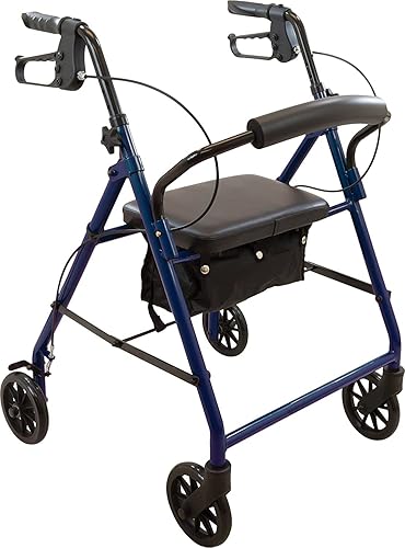 Roscoe Medical caminador de acero, Azul, 1