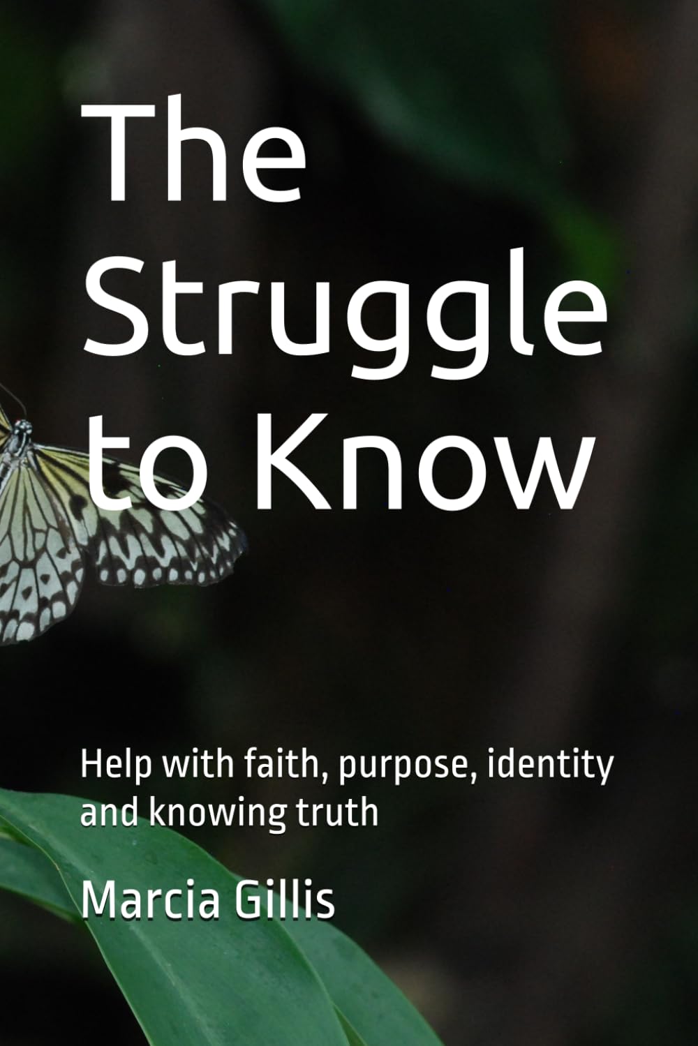 The Struggle to Know: Help with faith, purpose, identity and knowing truth