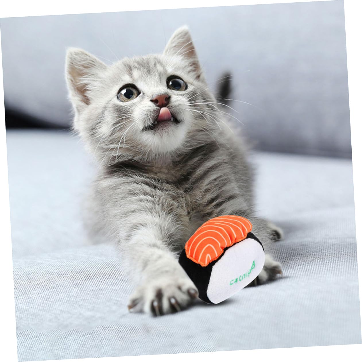 POPETPOP 6 STK Katzen-Sushi-Spielzeug Haustier Geburtstag Der Katze Beißspielzeug Für Katzen Interaktives Spielzeug Backenzahnspielzeug Für Hunde DIY Minze -Teaser Plüsch