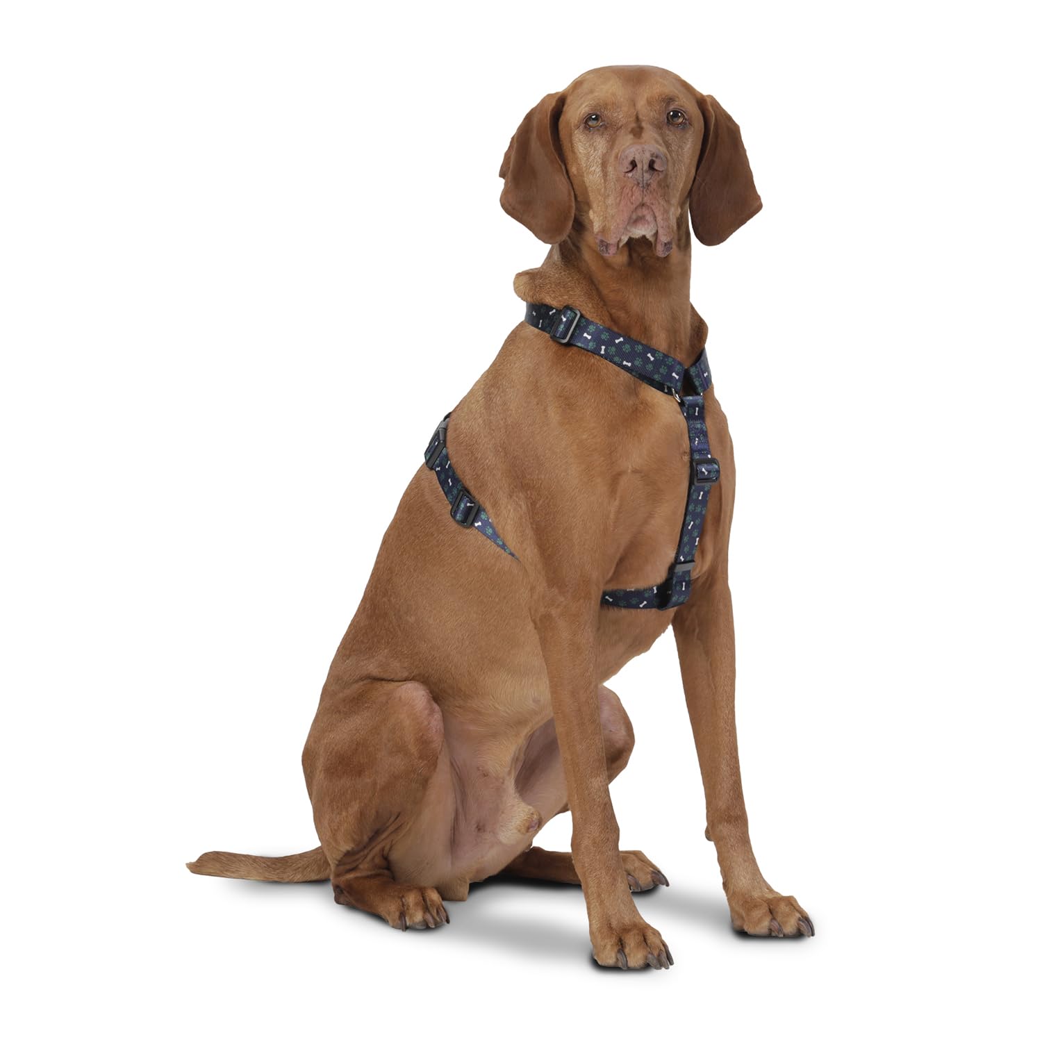 TOTTO, Large Dog Harness, Model Figgo, Size L, Dog Breastplate, Type H, Adjustable, Reduces Pressure in Trachea - Image 2