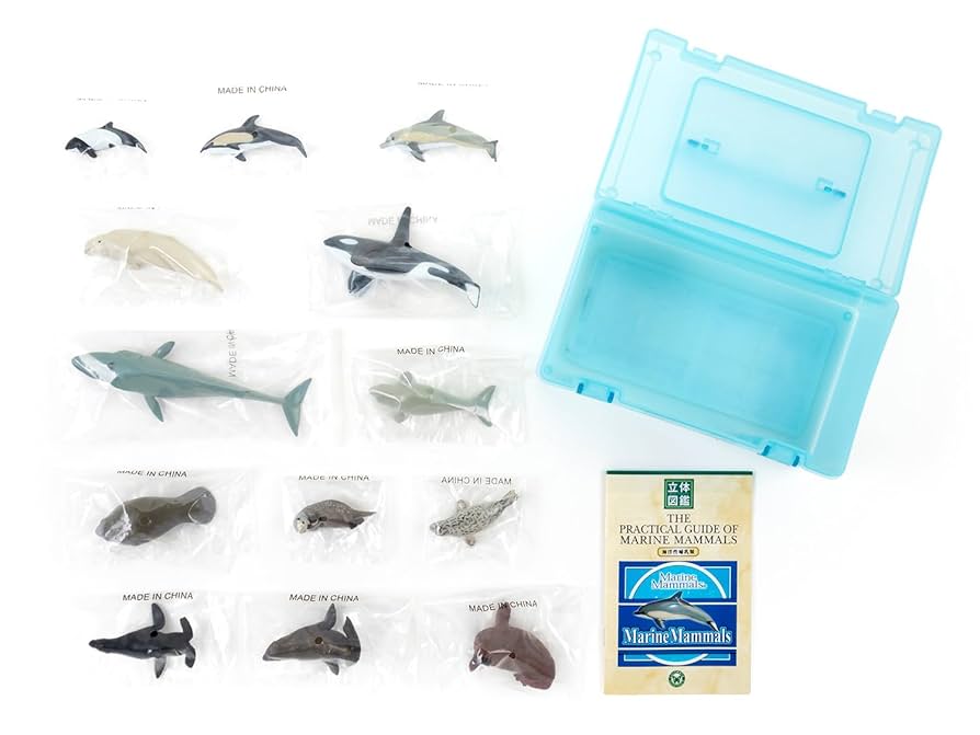Amazon.co.jp: カロラータ 海の生き物 立体図鑑 (クジラ イルカ