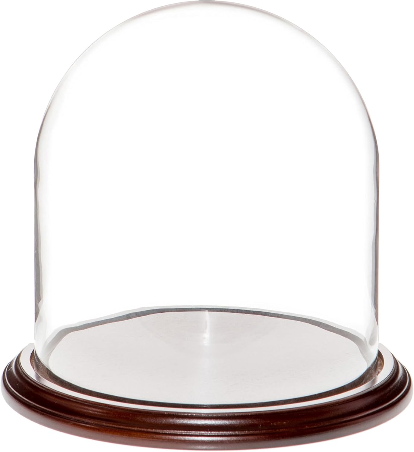 Plymor 9.75" x 10" Glass Display Dome Cloche (Dark Mahogany Veneer Base)