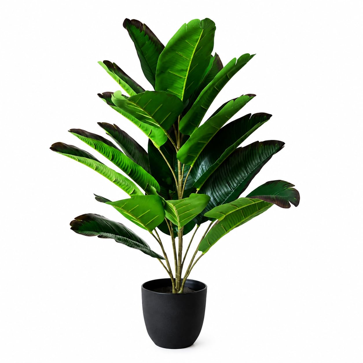 Artificial Bird of Paradise Plant with Black Pot – 78.7 cm Tall Faux Tropical Decorative Plant with 21 Green Leaves for Home, Office & Living Room Décor-image-35