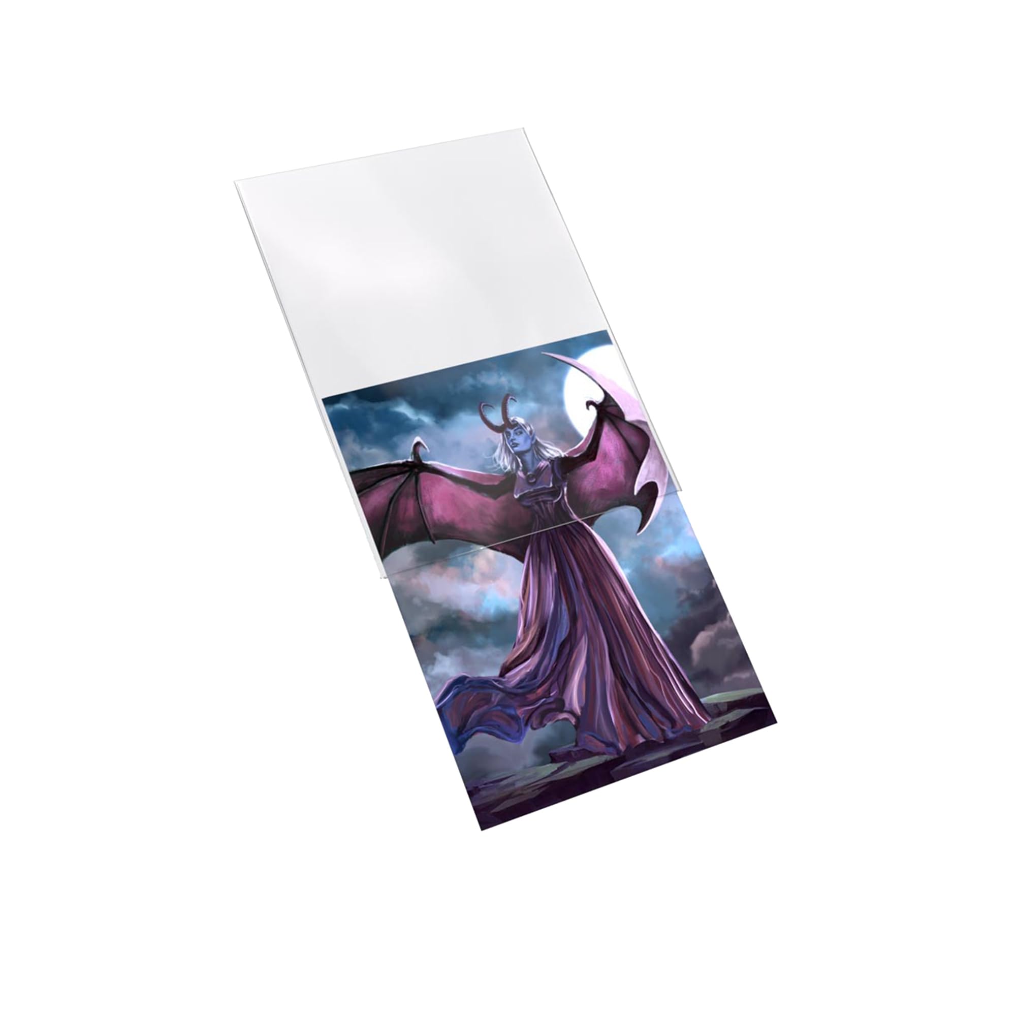 Amazon.com: Outer Sleeves Matte Standard Size