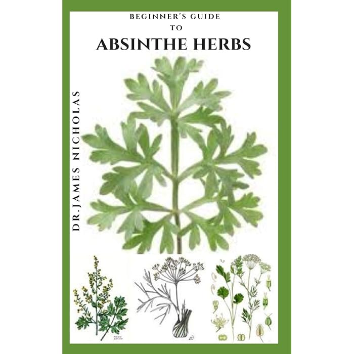 Buy Beginner's Guide to Absinthe Herbs Everything You Need To Know