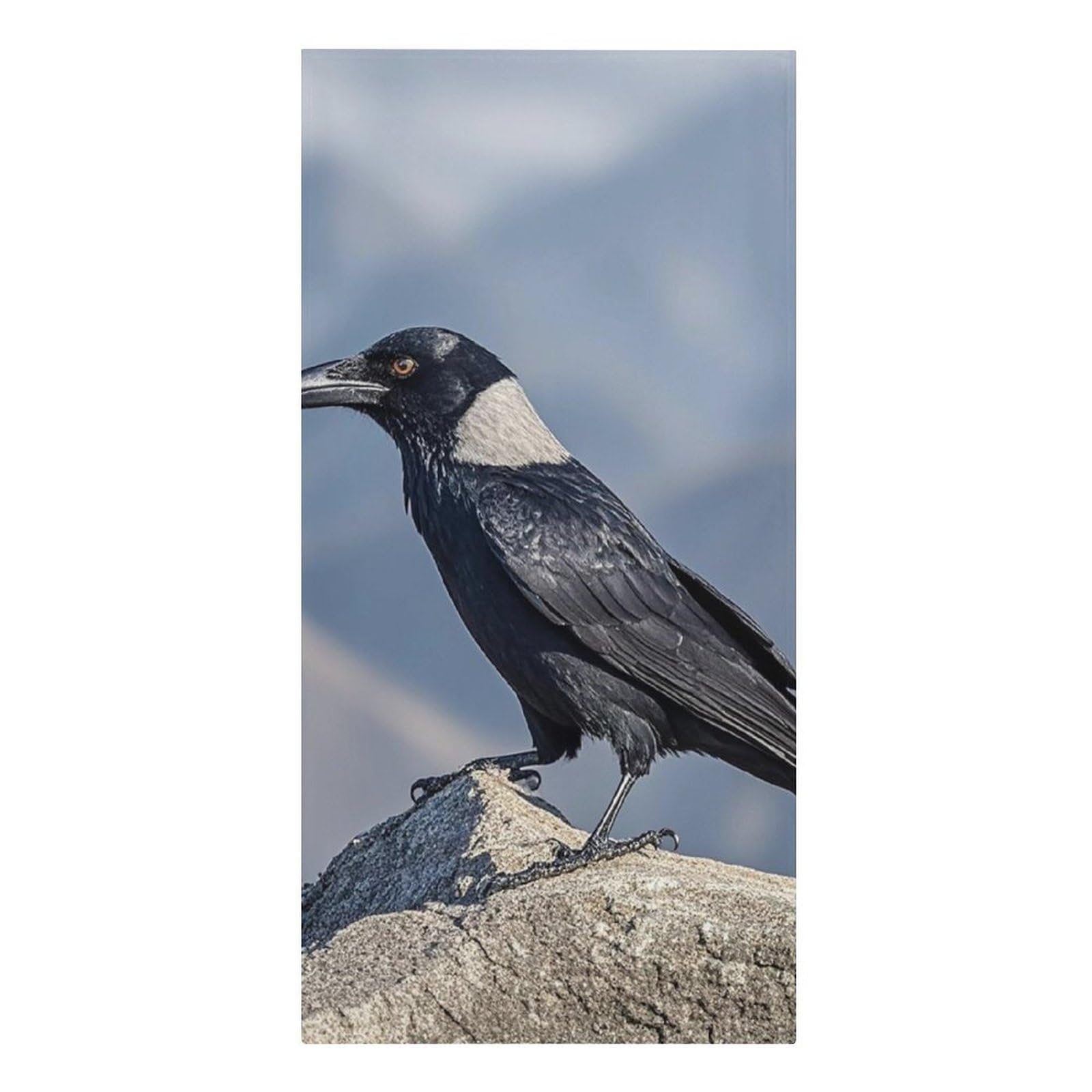 QMNLKH Black Crow Birds Beach Towel for Women, Large Microfiber Pool Towel for Men, Absorbent Swim Towels for Home, Lightweight Bath Towels for Camping, Yoga, 30.3"x61.4"