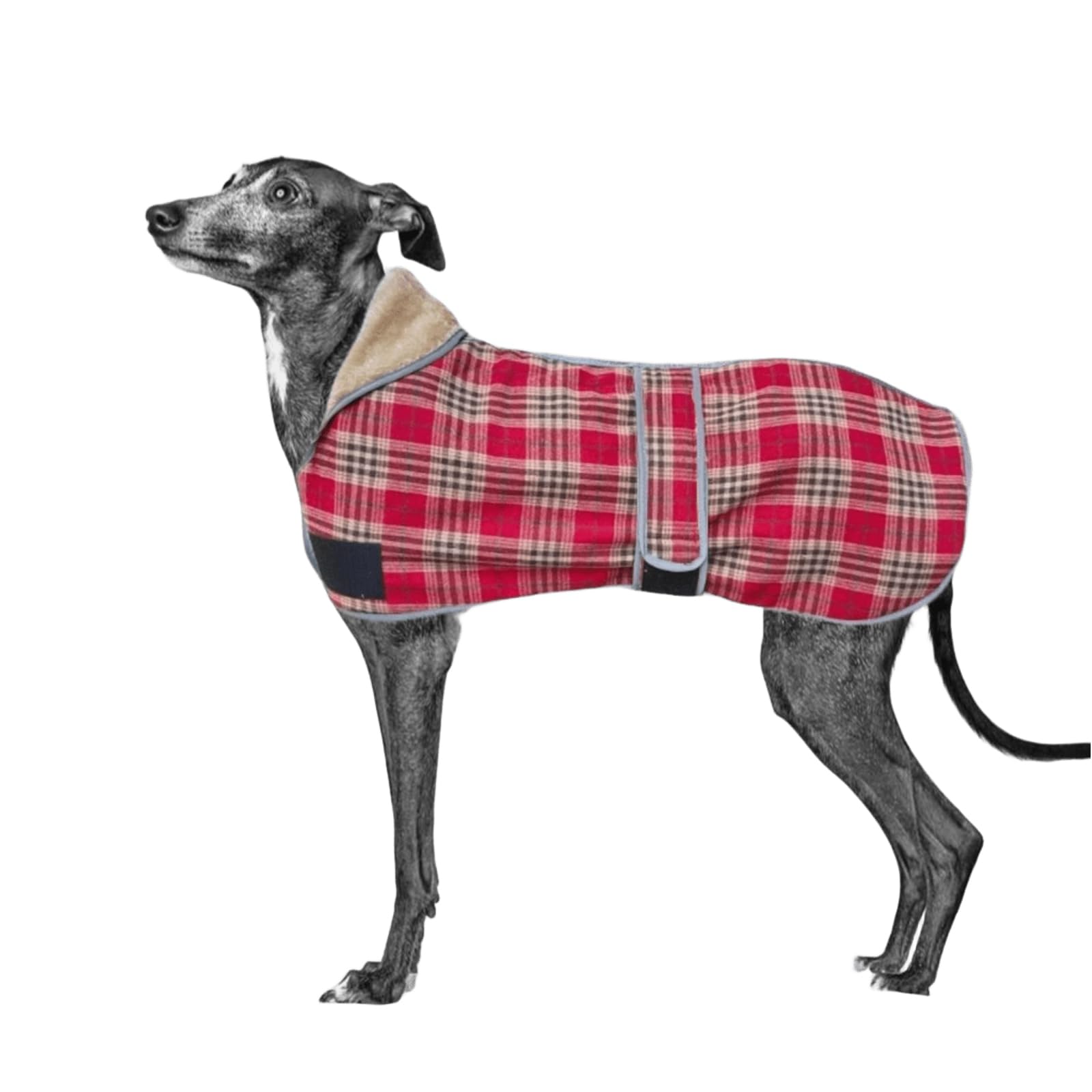 UOSIA Greyhound Winter Dog Coat With Leash Hole Warm Plaid Windproof Reflective Thick Whippet Dog Fleece Jacket Cold Weather Pet Vest Coat Clothes For Medium Large Dogs
