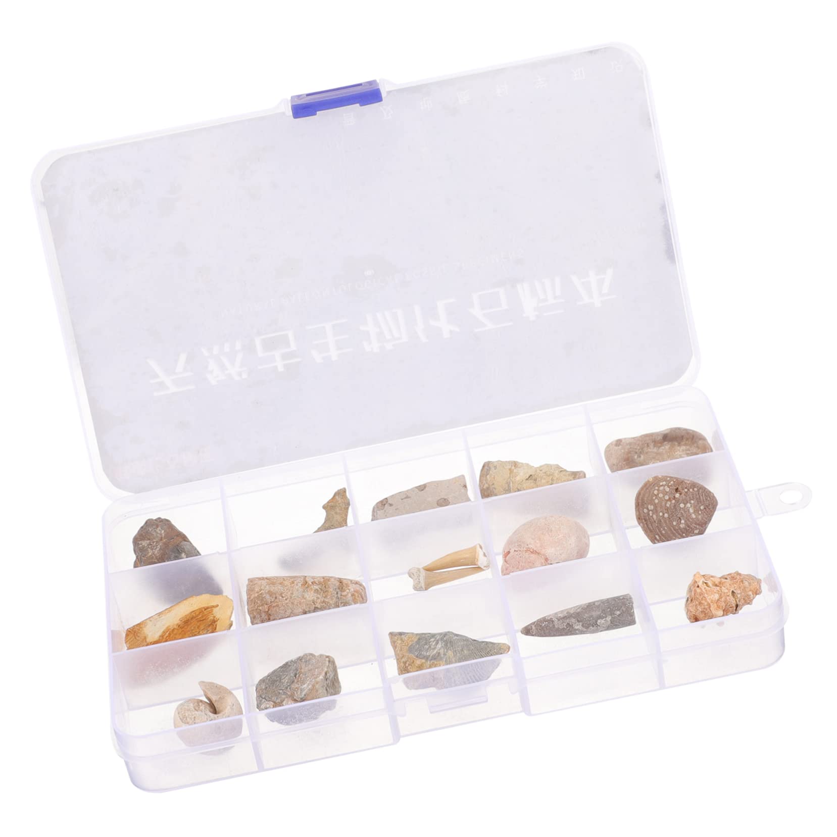 TOPPERFUN Real Specimens Trilobite Dinosaur Teaching Props Model Decor for Boys and Girls