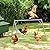 Chicken Roosting Bars Chicken Perch with 2 Swings, Chicken Roost Activity Play for Coop Accessories, Farm Enrichment Toys for Poultry Hens Healthy and Happy