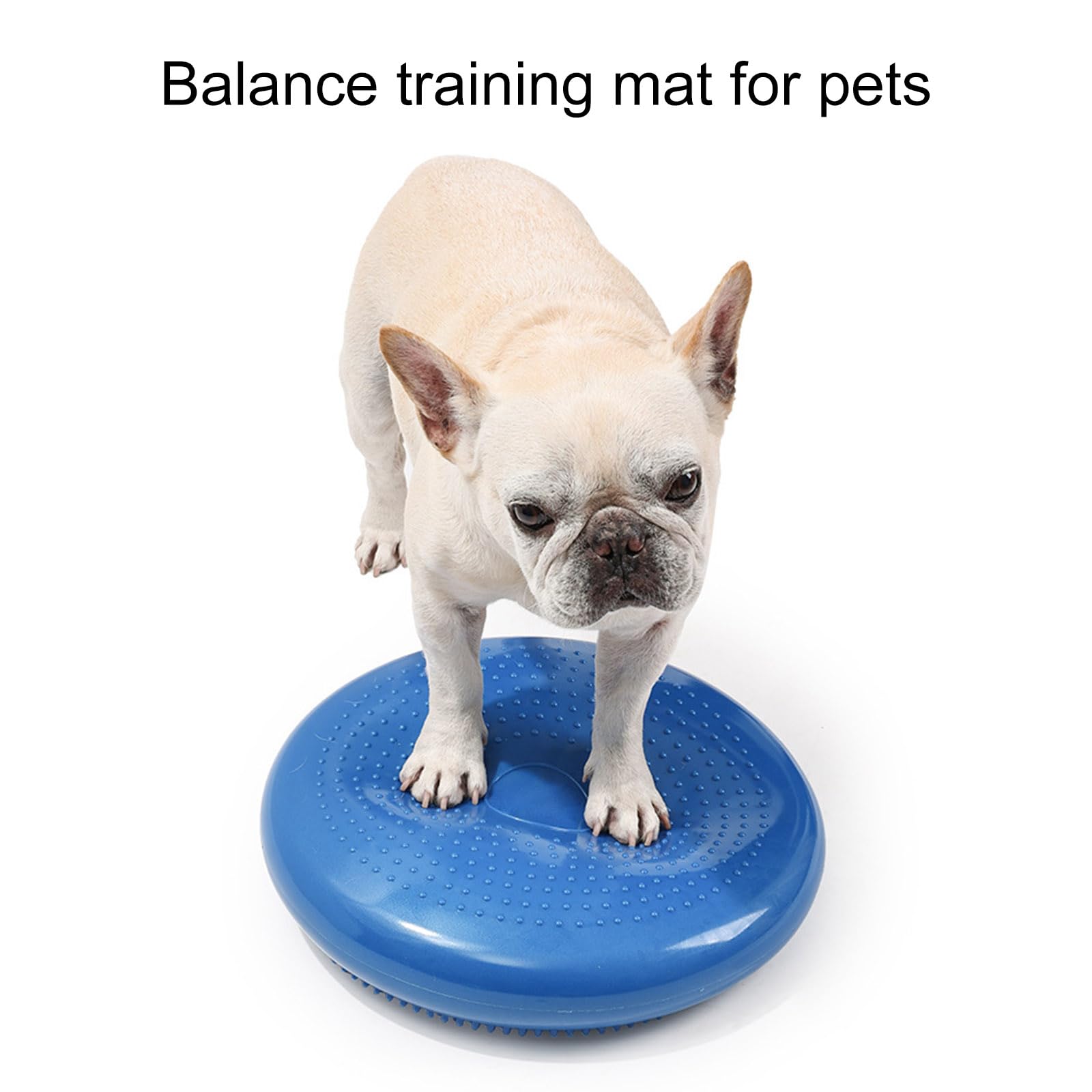 Tapis d'équilibrage pour chien avec surfaces texturées, fitness, stabilité, entraînement debout, amélioration des postures