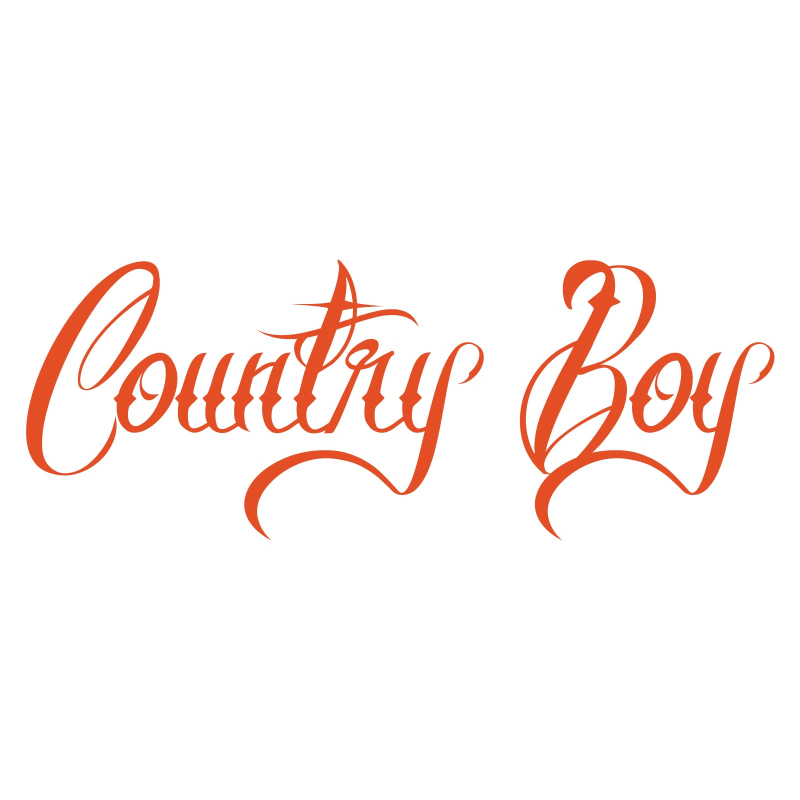 Pegatinas De Country Boy Para Camiones The Toy Restore Calcomanías