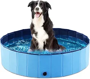 Jasonwell Foldable Dog and Kid Pool, 32-inch Blue