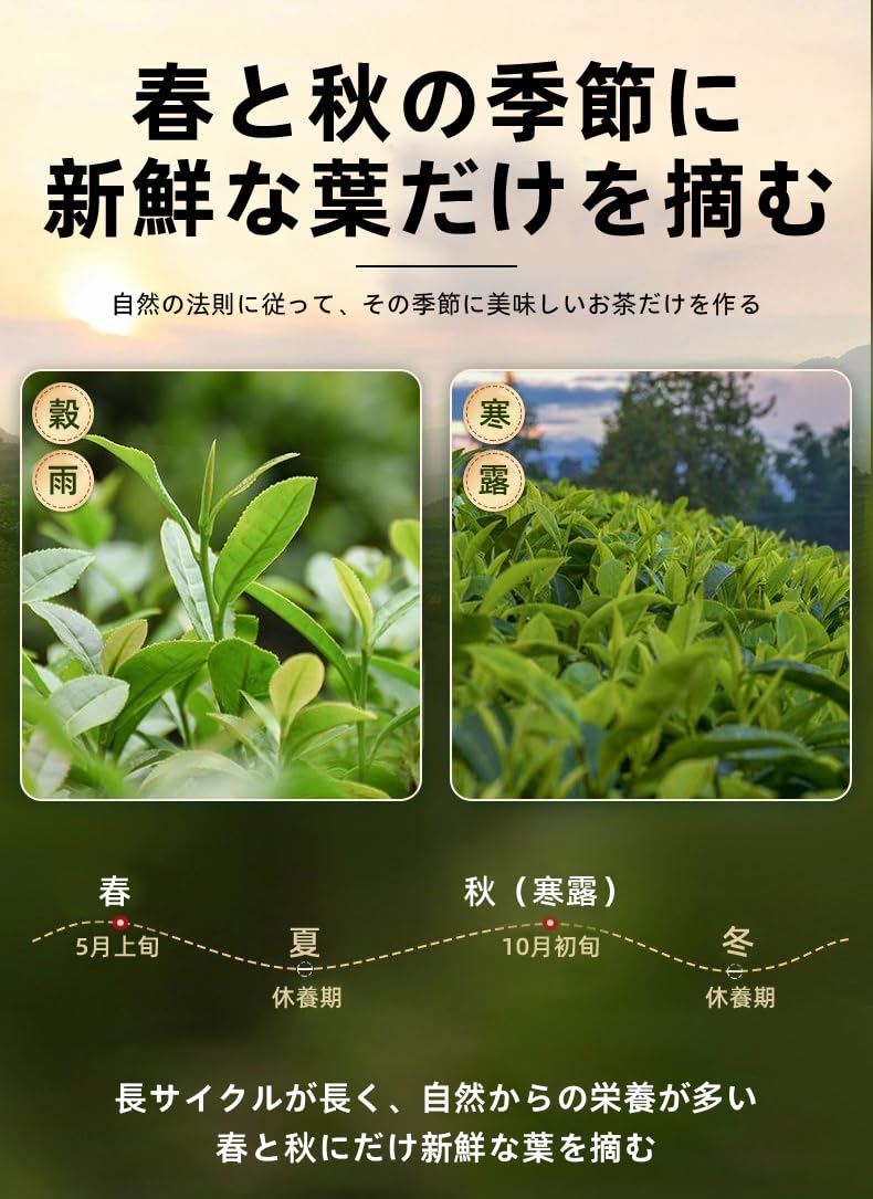Amazon.co.jp: 清香タイプ 鉄観音茶 茶葉 福建凤山鉄観音グループ 香り