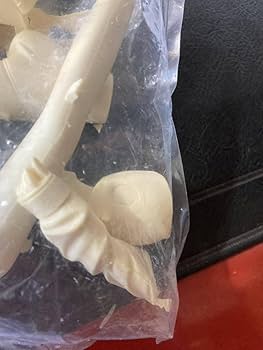 Amazon | ちびーず To heart 神岸あかり 1/6ガレージキット